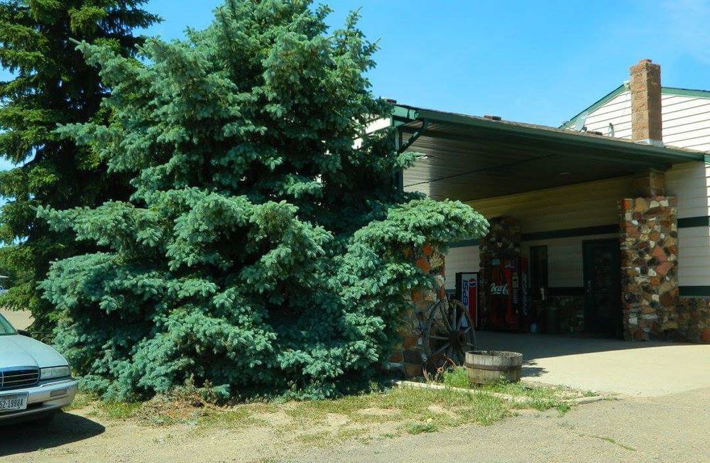Rodeway Inn Gateway To Medora T-Roosevelt & Makoshika State Park Wibaux Extérieur photo